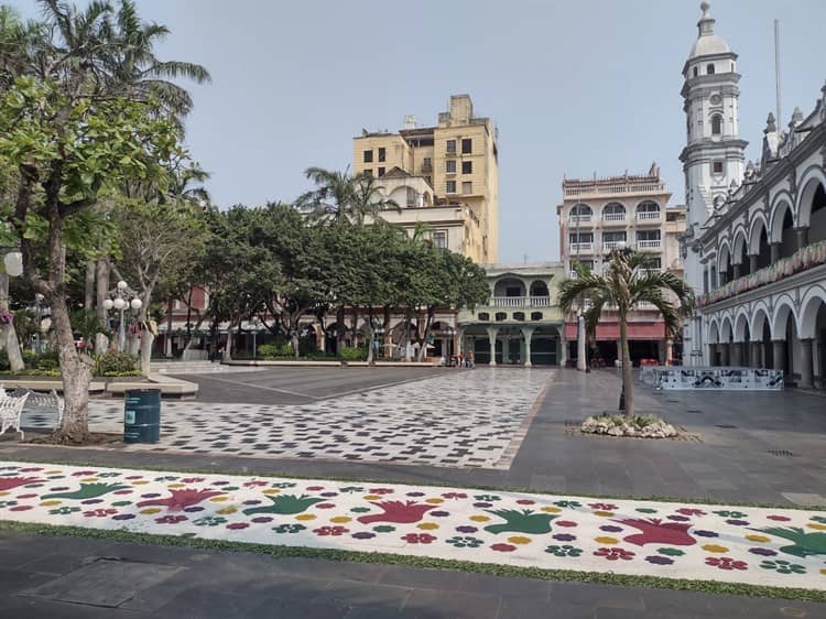 Realizan exhibición de tapetes monumentales de aserrín en Veracruz (+Video)