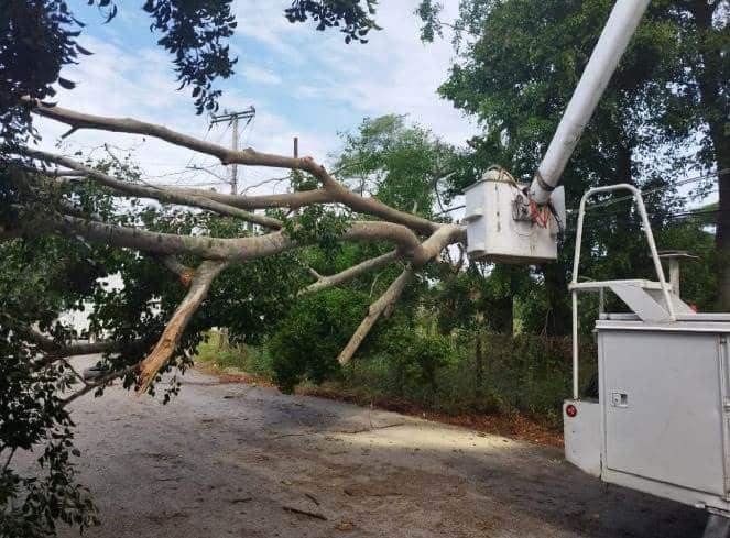 ¡Pegó fuerte! Sin luz casi medio millón de habitantes por FF55 en 4 estados