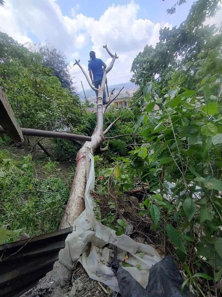 Zona Norte de Veracruz destruida; daños por tormenta en Poza Rica, Tihuatlán, Papantla, Cazones y Coatzintla