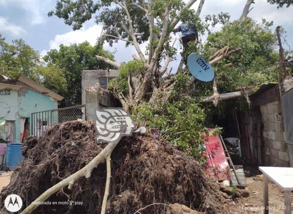 ¡Vuelan techos! Tromba provoca severos daños en Villa Cuichapa