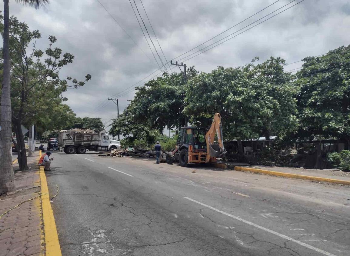 Con policías y maquinaria pesada desalojan a familias en Veracruz (+Video)