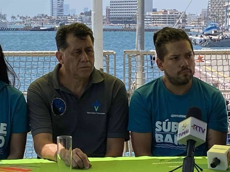 Advierte Greenpeace riesgo en el Golfo por construcción de gasoducto Tuxpan-Coatzacoalcos