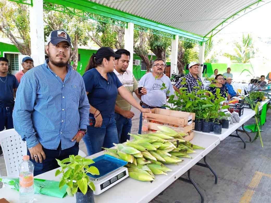 Realizan Jornadas de Consumo Solidario en Puente Nacional