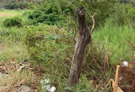 Llena de basura, llantas y muebles; así lucen lagunas de El Coyol en Veracruz