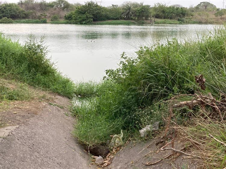 Contaminan lagunas en El Coyol, lucen con basura, llantas y muebles