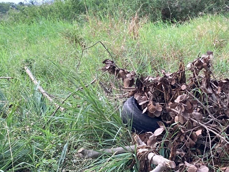 Contaminan lagunas en El Coyol, lucen con basura, llantas y muebles