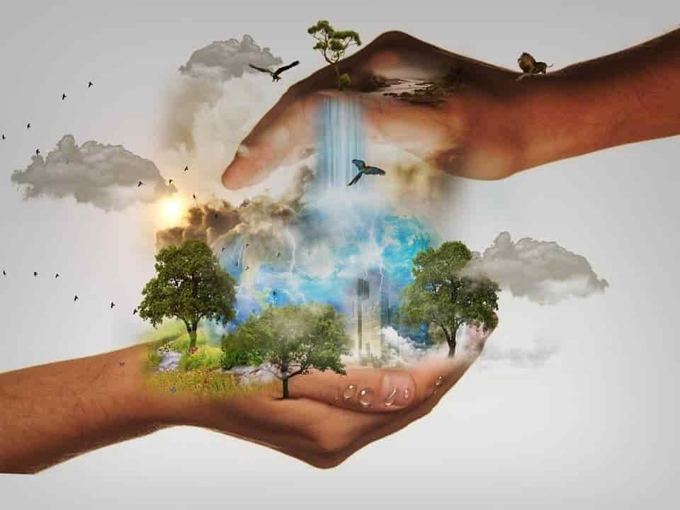 Reconstruir la biodiversidad