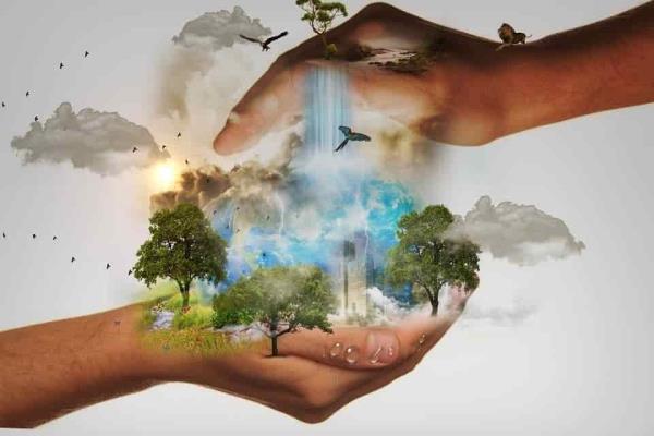 Reconstruir la biodiversidad