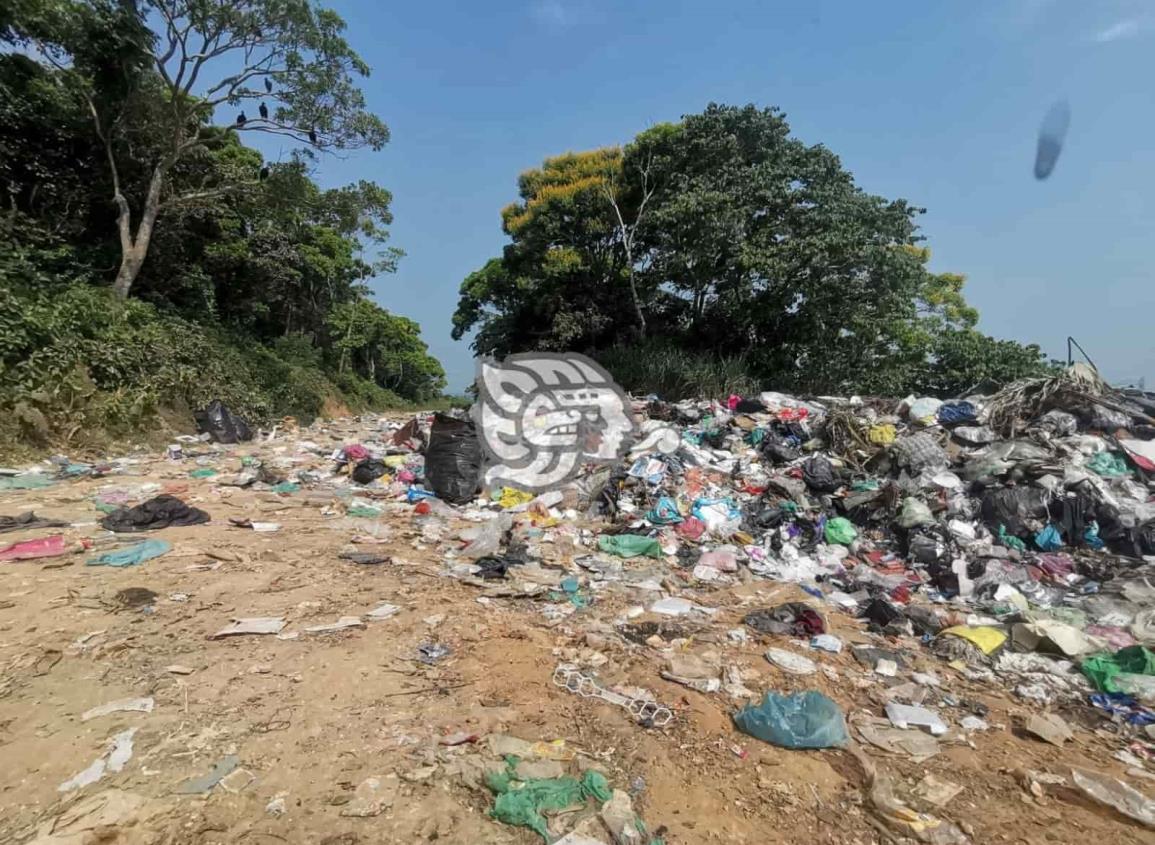 Este lunes dará inicio barrido en el basurero municipal de Nanchital