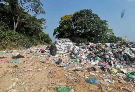 Barrido en basurero de Nanchital, hasta el lunes