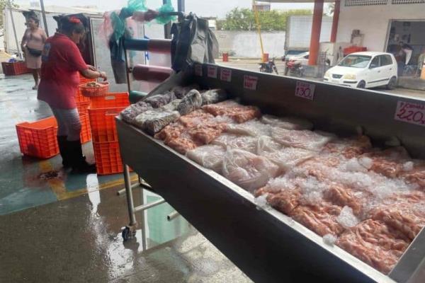 Exigen pescaderías de Veracruz solucionar problema de apagones