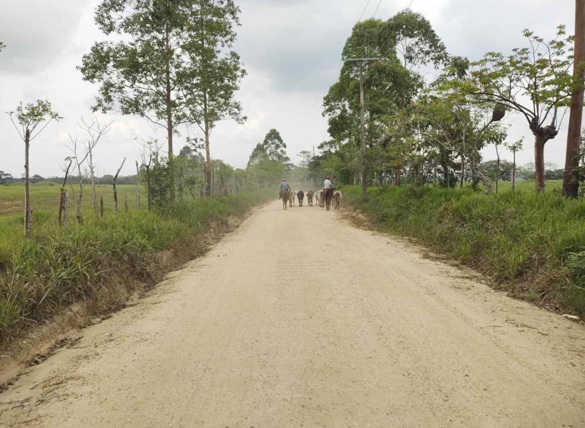 ¡Ya están hartos! Habitantes de zona rural en Minatitlán piden vigilancia policiaca