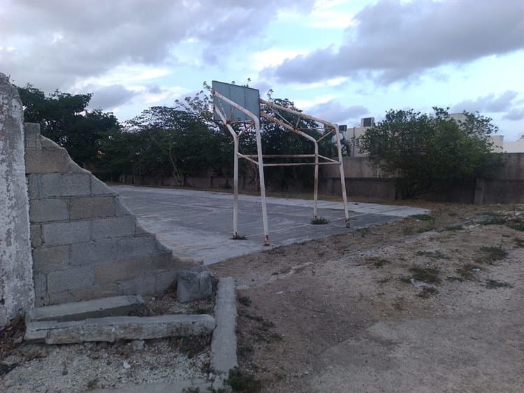 Peligro por bardas caídas cerca de un parque en Lagos de Puente Moreno