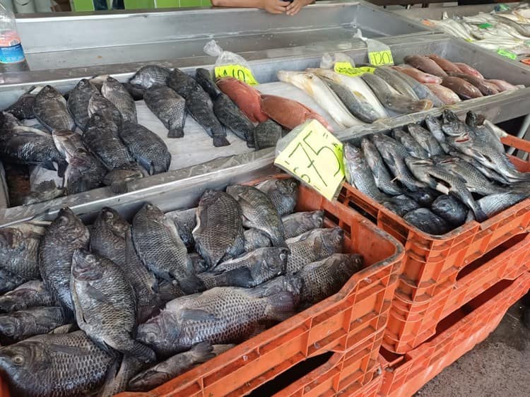 Apenas sobreviven con ventas en mercado de pescaderías