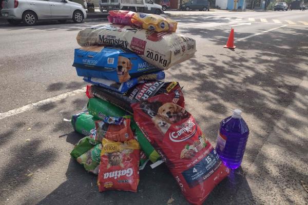¡Si se pudo! Croquetón recauda casi 100 kilos para animales rescatados en Veracruz