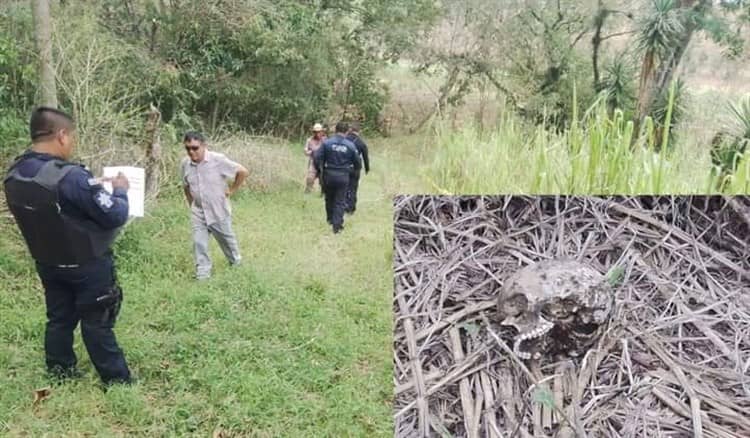 Hallan cráneo en predio de Coscomatepec