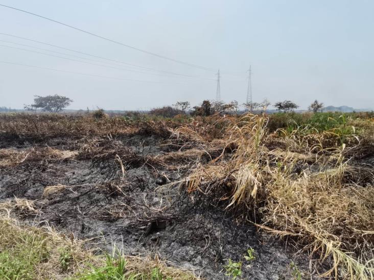 Personas que sean sorprendidas causando incendios incontrolados irán a la cárcel