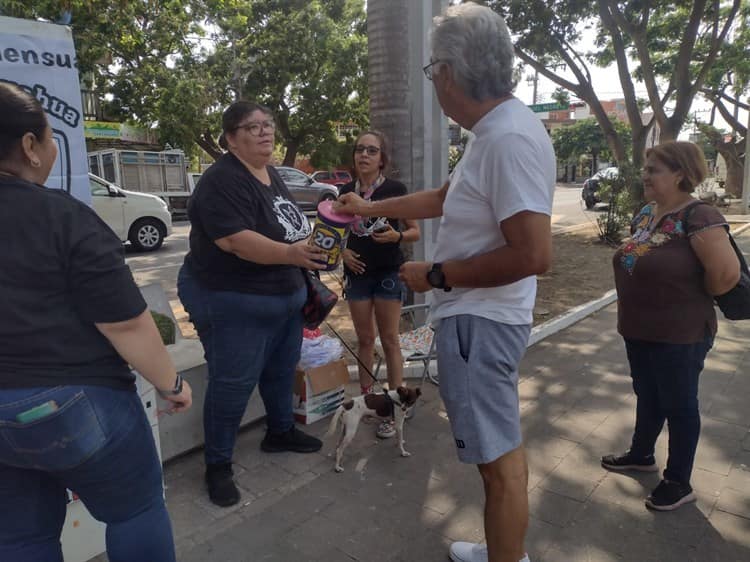 Croquetón recauda casi 100 kilos para animales rescatados en Veracruz