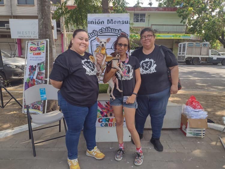 Carnaval Canino de Veracruz va por meta de 3.5 toneladas de croquetas