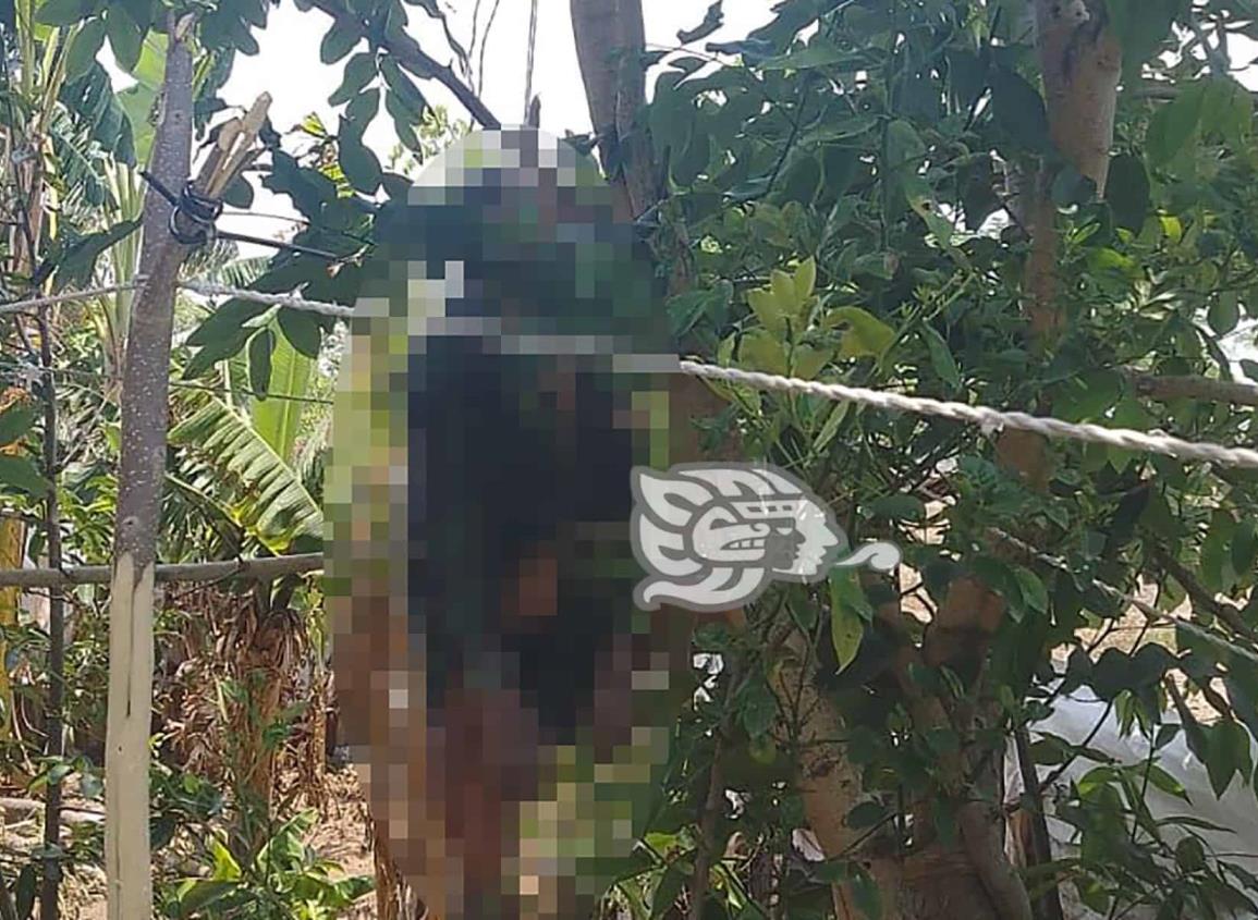 Se colgó de un árbol adulto mayor en Medellín