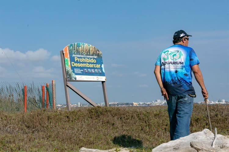 Instala Aquarium del Puerto de Veracruz campamentos tortugueros en islas del Sistema Arrecifal Veracruzano