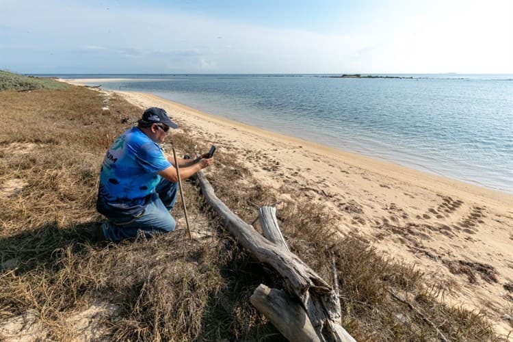 Instala Aquarium del Puerto de Veracruz campamentos tortugueros en islas del Sistema Arrecifal Veracruzano