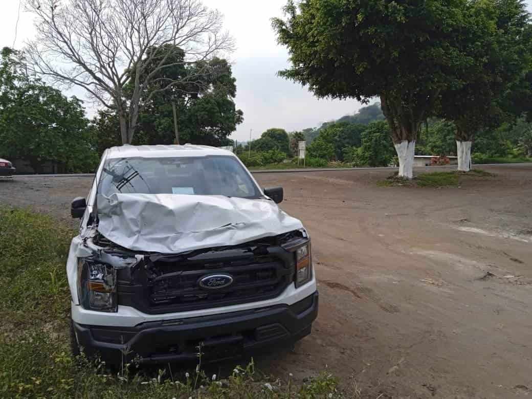 Camioneta atropella y mata a caballo en carretera a San Andrés Tuxtla