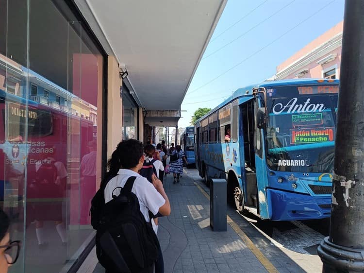 Caos y desorden en el transporte público incomunica zonas urbanas en Veracruz