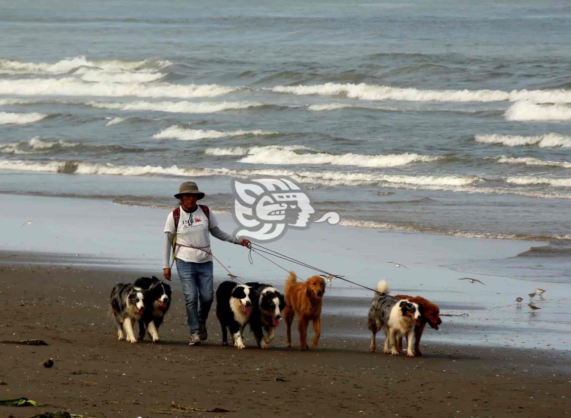 Aplicarán campaña de vacunación antirrábica