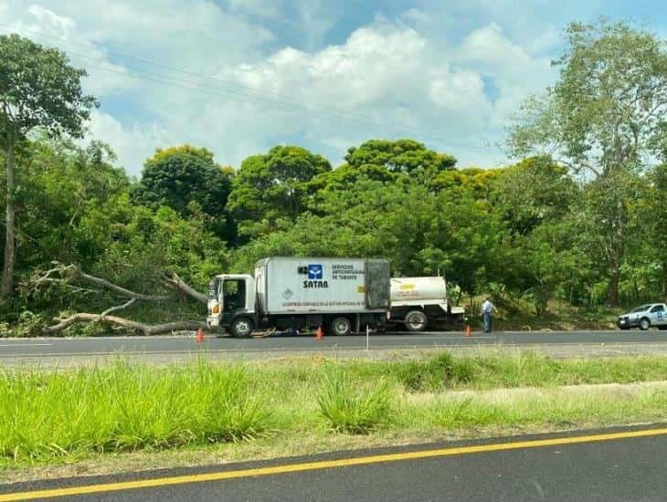 Conductor de carrotanque se impacta contra árbol en carretera Coatzacoalcos- Villahermosa