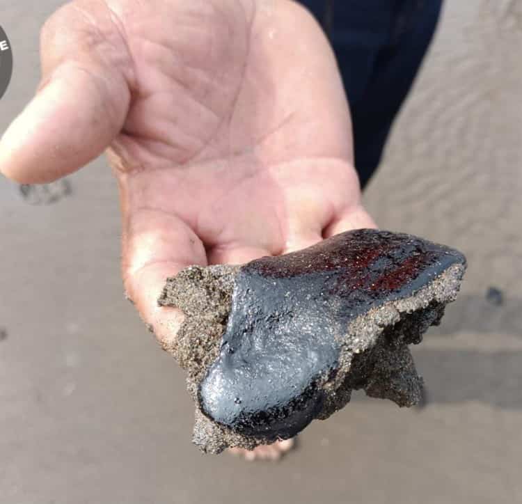 Alerta hallazgo de chapopote en playa de Chachalacas