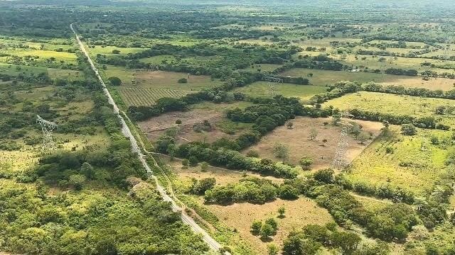 Retomarán viajes de personas en trenes con ferrocarril en el Istmo de Tehuantepec, afirma AMLO