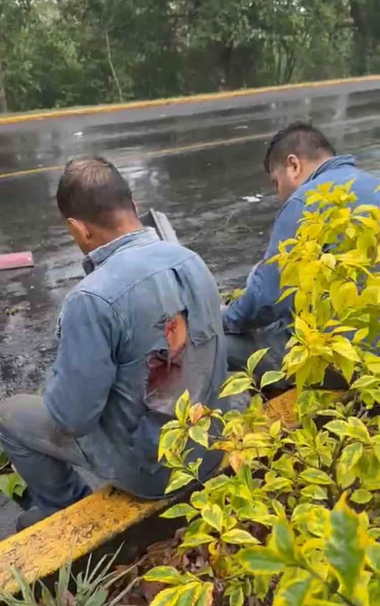 Grúa derriba árbol en Xalapa: trabajador del Ayuntamiento muere y hay 4 heridos