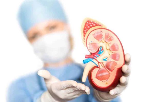 Más de 12 millones de mexicanos podrían padecer alguna enfermedad renal crónica