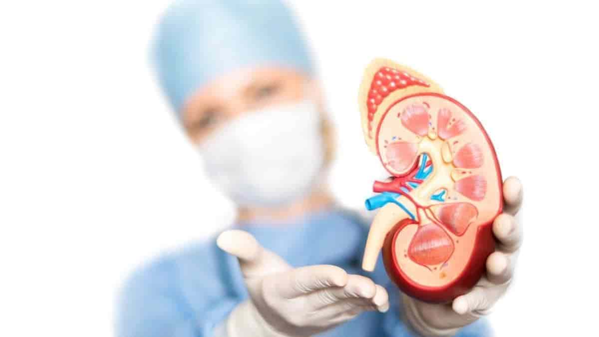 Más de 12 millones de mexicanos podrían padecer alguna enfermedad renal crónica