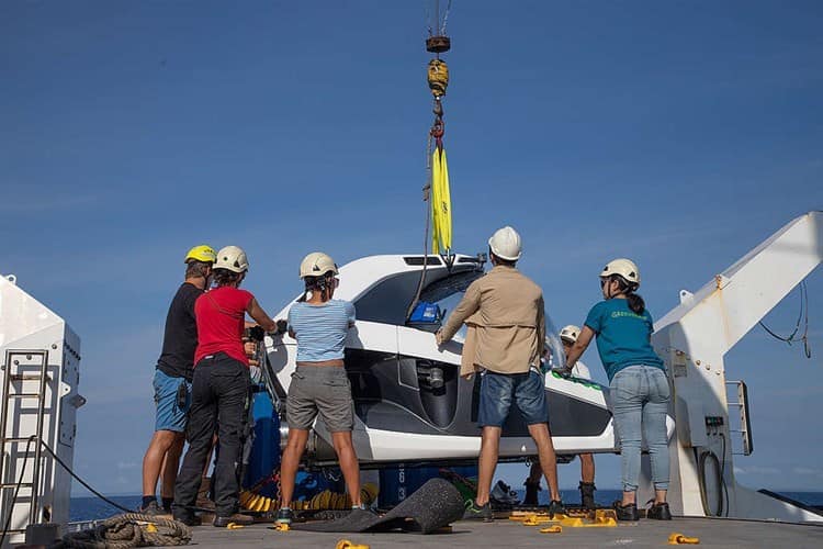 Gasoducto pone en riesgo ecosistemas arrecifales de Veracruz: Greenpeace