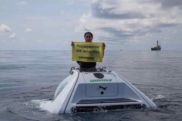 Gasoducto pone en riesgo arrecifes de Veracruz, advierte Greenpeace