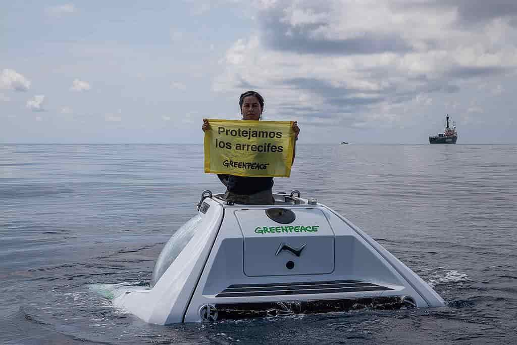 Gasoducto pone en riesgo ecosistemas arrecifales de Veracruz: Greenpeace