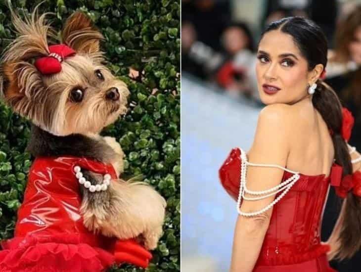 ¡Que hermoso! Dueños de perrito recrean vestuario de Salma Hayek en la MET Gala