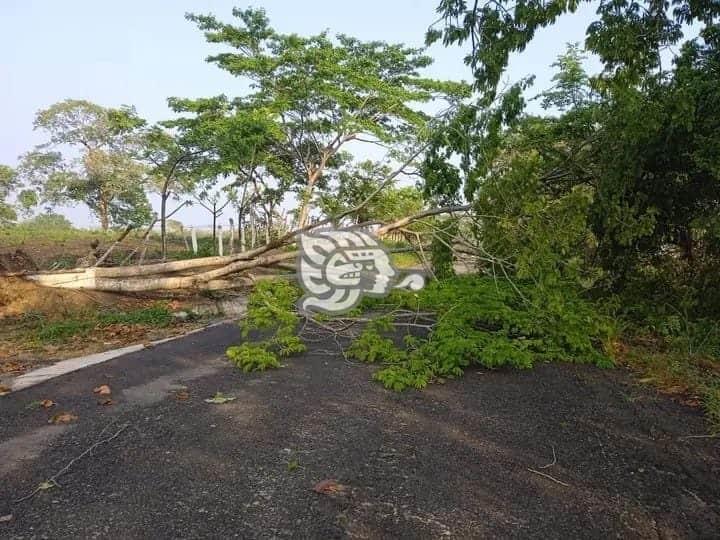 Trasladan a más de 30 personas a albergue del DIF tras tromba en Sayula de Alemán