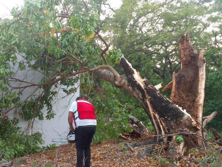 Tromba deja graves afectaciones en Acayucan y Sayula