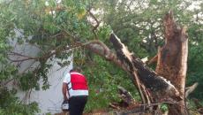 ¡Sin luz ni agua! Graves afectaciones deja tromba en Acayucan y Sayula (+Video)