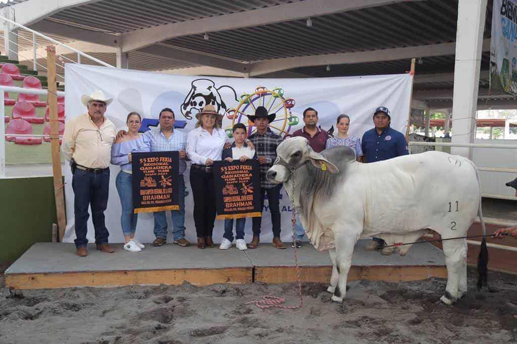 Ganadería de Alvarado, campeona nacional en la Feria Ganadera de Ylang Ylang