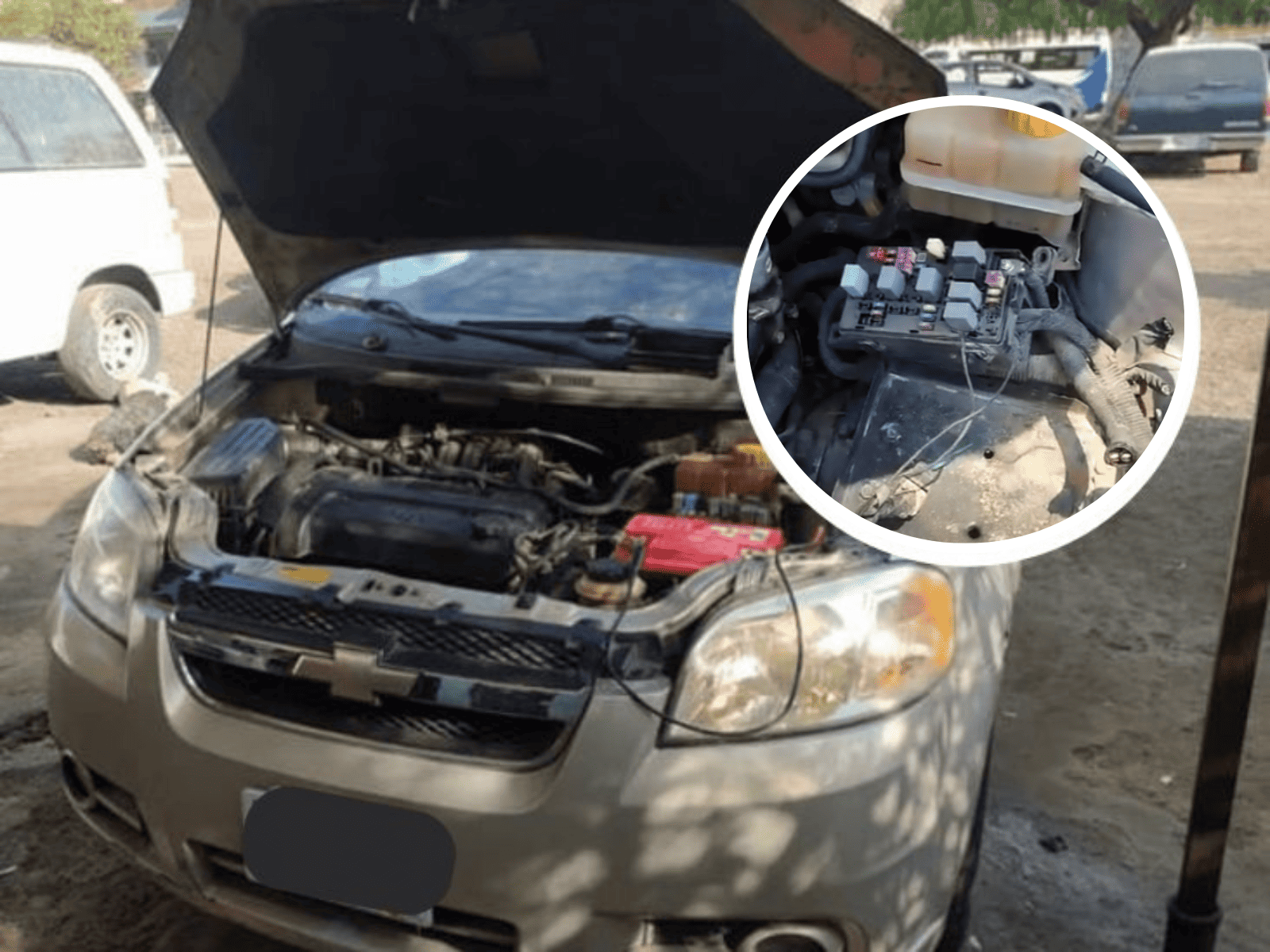 Denuncian robo masivo de computadoras y baterías de autos en El Morro, en Boca del Río (+Video)