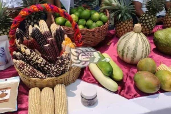 Más de 60 mil veracruzanos están incorporados al programa Sembrando Vida (+Video)