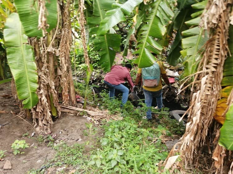 Retirarán llantas para evitar criaderos de mosquitos en colonias de Coatzacoalcos (+Vídeo)