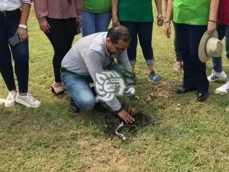 Realizan reforestación con motivo al día del medio ambiente en Nanchital