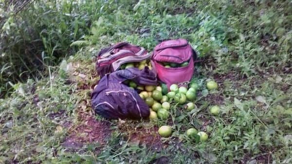 Inseguridad ahoga a comunidades de Misantla