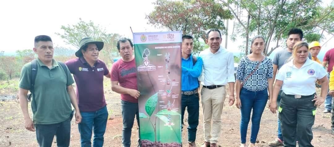 Realizan campaña de reforestación en la Sierra de Santa Martha