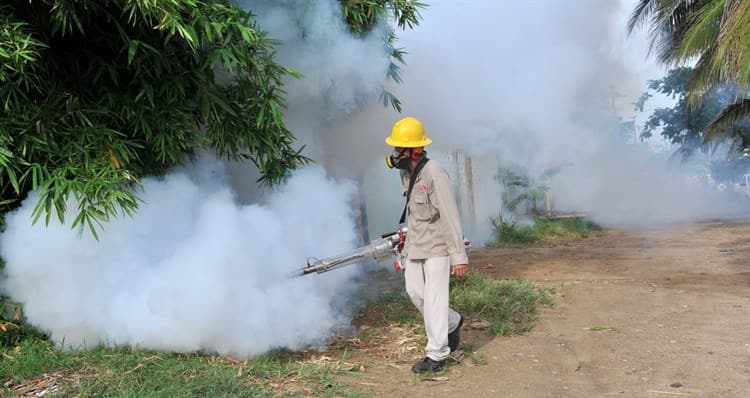 Repuntaron casi 62% casos de dengue en Veracruz